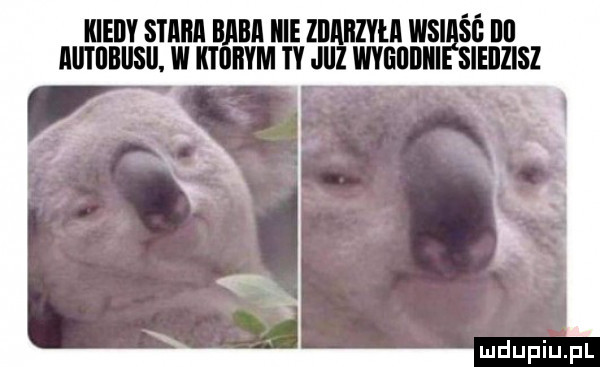 kiedy stara ng iii lellllzth wsi    ibl lllltlillllsll. w i iivm ty jiiz wyelliliii ieilzisz