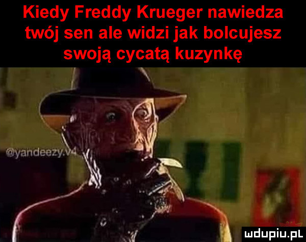 kiedy freddy krueger nawiedza twój sen ale widzi jak boldujesz swoją cycatą kuzynkę. w  . abakankami