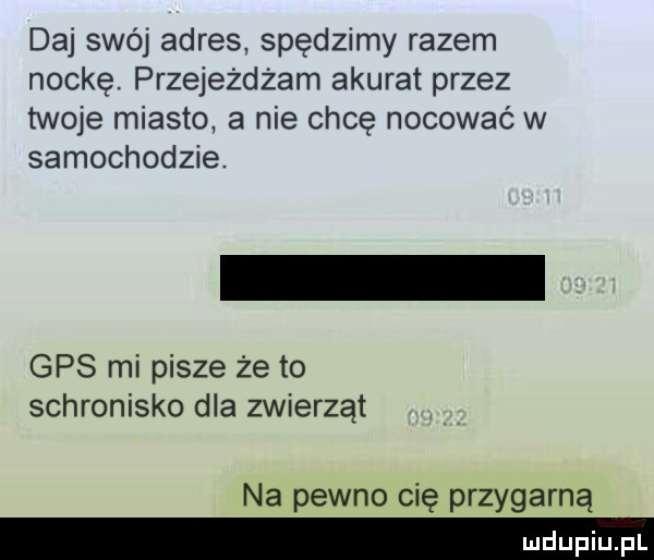 daj swój adres spędzimy razem nockę. przejeżdżam akurat przez twoje miasto a nie chcę nocować w samochodzie. gps mi pisze że to schronisko dla zwierząt na pewno cię przygarną