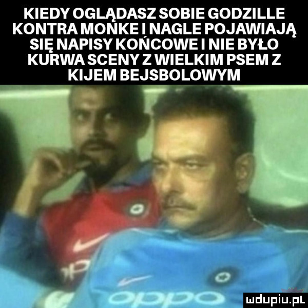 kiedy oglądasz sobie godzille kontra mon ke i nagle pojawiają się napisy koncowe i nie było kurwa sceny z wielkim psem z kijem bejsbolowym