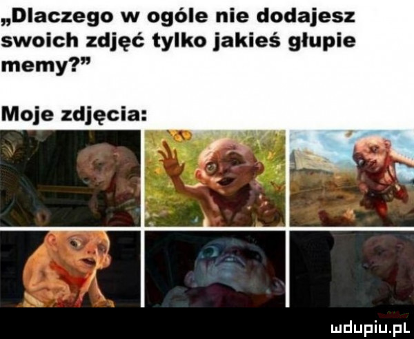 dlaczego w ogóle nie dodajesz swoich zdjęć tylko jakieś głupie memy moje zdjęcia