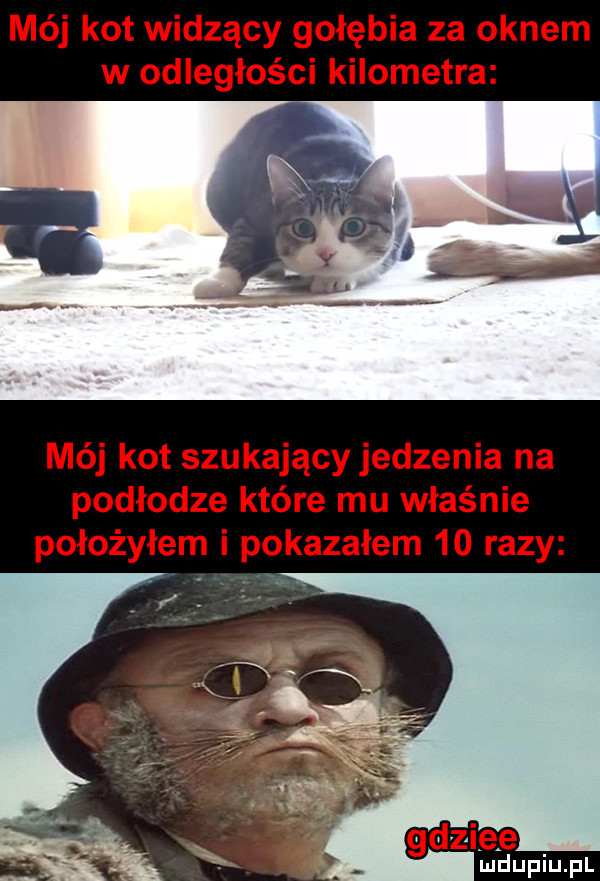 i fdupiupl