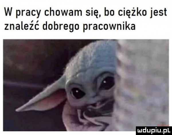 w pracy chowam się bo ciężko jest znaleźć dobrego pracownika