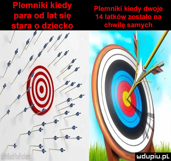 plemniki kiecy plemniki kiedy dwoje para od lat się    latków zostało na stara o dziecko chwilę samych