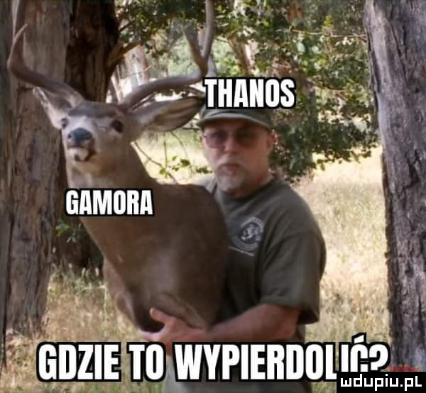 y. u. abakankami. abakankami h vj. ą. i l re. malym. abakankami. a ma   r