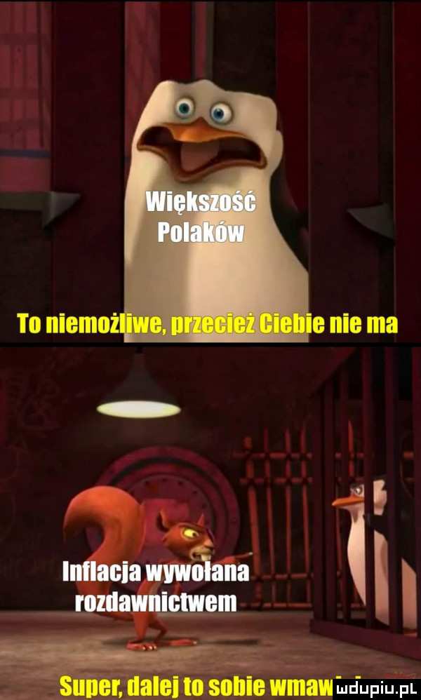 t  niemo