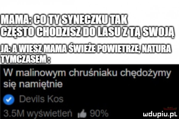 ml hummer cz mmmmmm w malinowym chruśniaku chędożymy się namiętnie ib