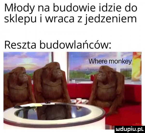 młody na budowie idzie do sklepu i wraca zjedzeniem reszta budowlańców where monkey