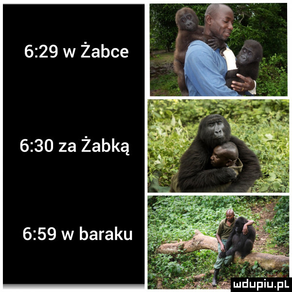 w zabce      za żabką      w baraku