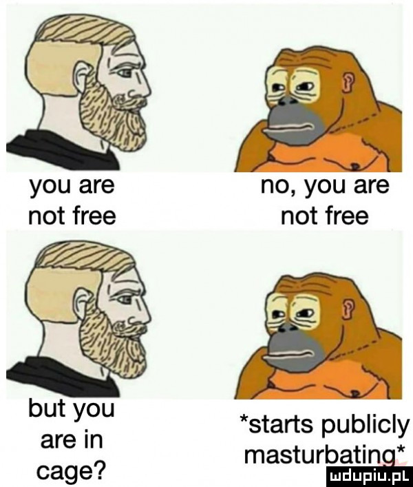 vx no y-u are not free not free starts publicly masturbatin