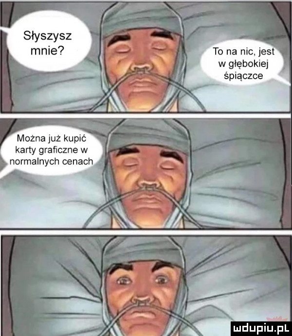 to na nic jest ś lv x w głębokiej a k     śpiączce gm a można już kupić karty graﬁczne w normalnych cenach