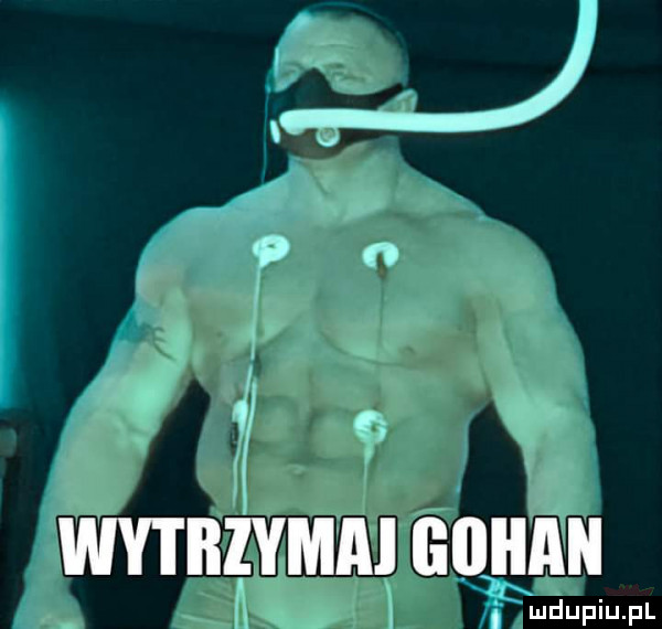 Obrazek
