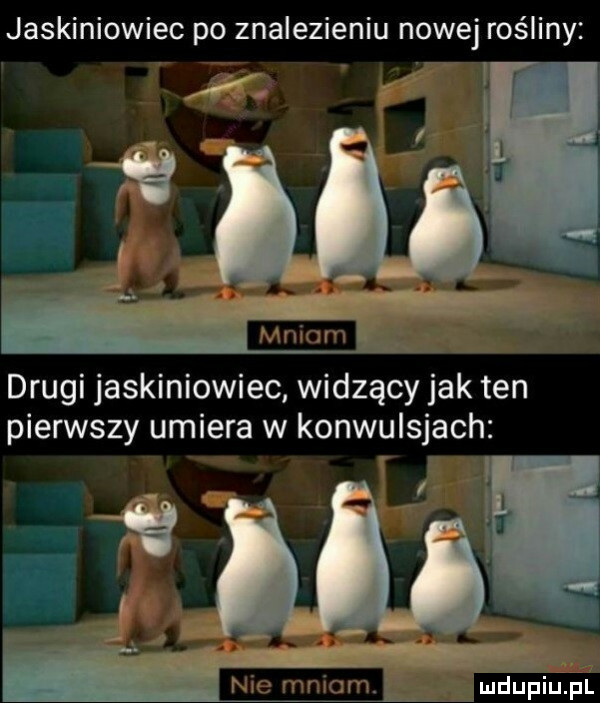 jaskiniowiec po znalezieniu nowej rośliny a i drugi jaskiniowiec widzący jak ten pierwszy umiera w konwulsjach