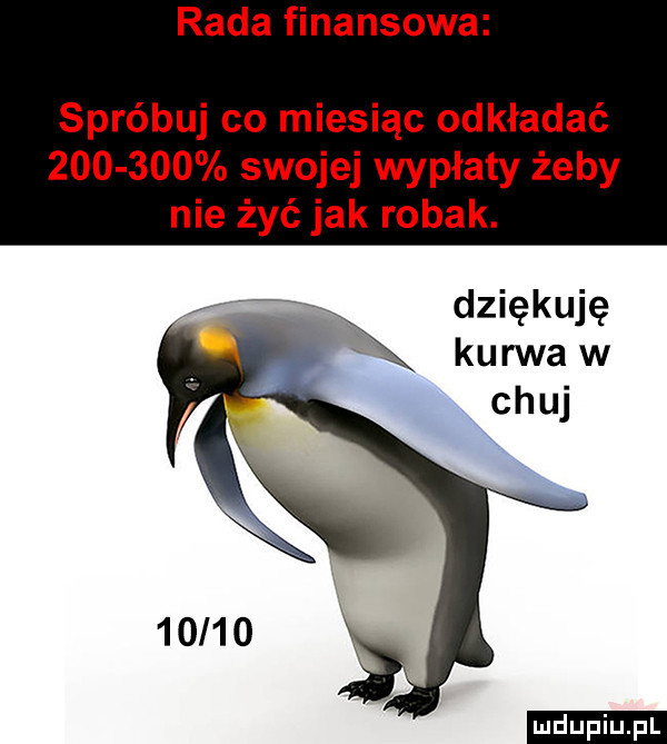 rada finansowa spróbuj co miesiąc odkładać zoo     swojej wypłaty żeby nie żyć jak robak. ludu iu. l