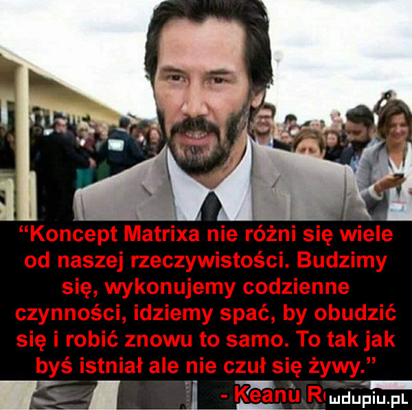 mduplu pl