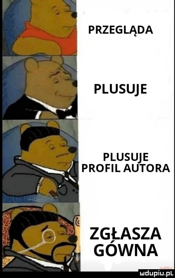 przegląda plasuje plasuje x profil autora   x zg lasza gowna