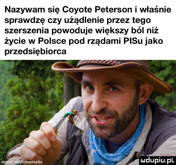 nazywam się coyote peterson i właśnie sprawdzę czy użądlenie przez tego szerszenia powoduje większy ból niż życie w polsce pod rządami pasu jako przedsiębiorca aga. mematic  . źadupiupl