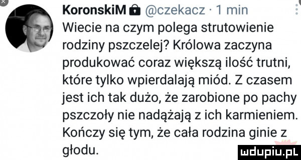 koronskimń czesacz   min wiecie na czym polega strutowienie rodziny pszczele królowa zaczyna produkować coraz większa ilość trutni które tylko wpierdalają miód. z czasem jest ich tak dużo że zarobione po pachy pszczoły nie nadążają z ich karmieniem. kończy się tym że cała rodzina ginie z głodu