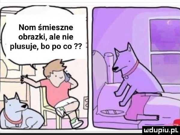 nom śmieszne obrazki ale nie plasuje bo po co