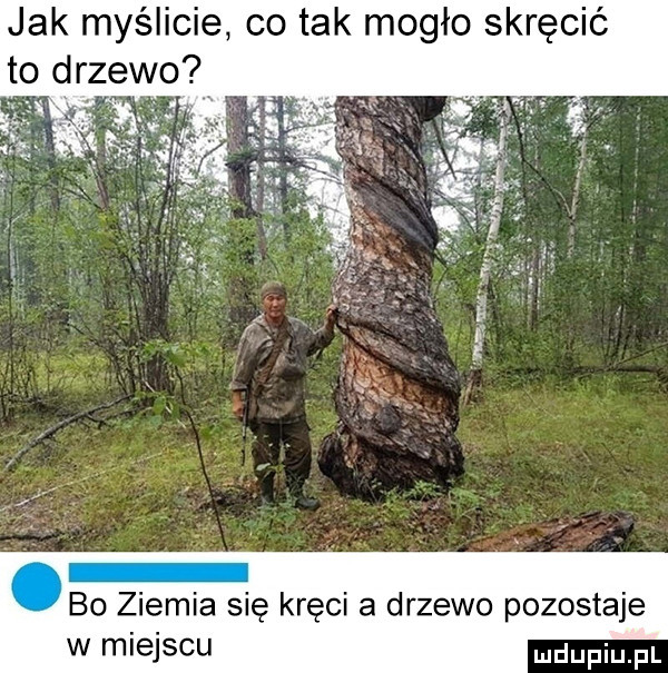 jak myślicie co tak mogło skręcić to drzew bo ziemia się kręci a drzewo pozostaje w miejscu