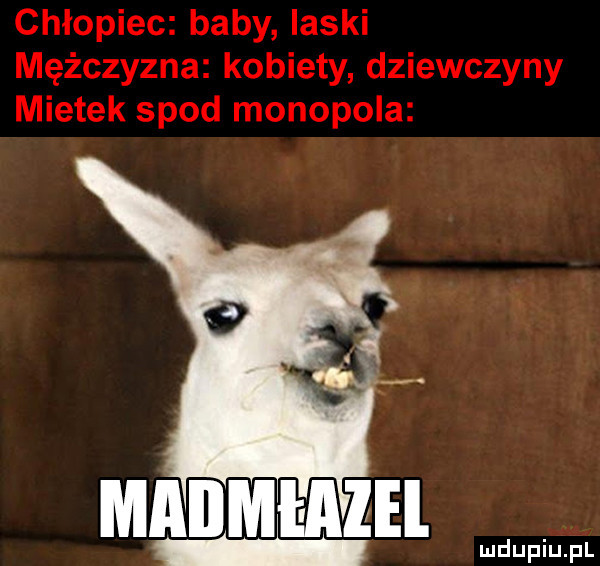 chłopiec baby laski mężczyzna kobiety dziewczyny mietek spod monopoda maiimiaalel