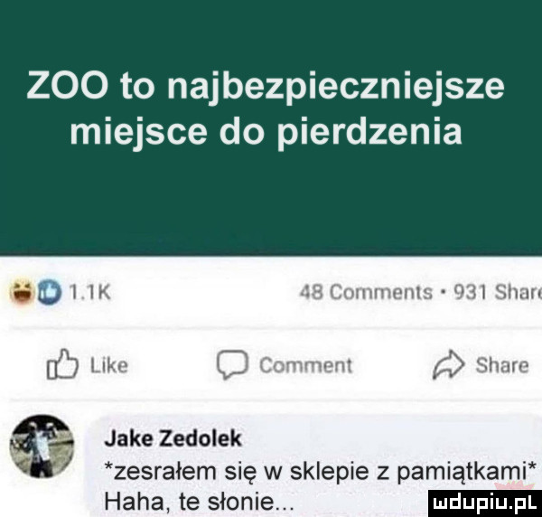 to najbezpieczniejsze miejsce do pierdzenia    i  k abb comments.     siar like o comment d stare jake zedolek zesrałem się w sklepie z pamiątkami haba te słonie