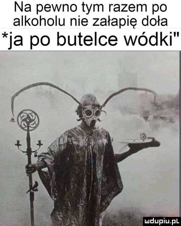 na pewno tym razem po alkoholu nie załapię doła ja po butelce wódki   imdupiupl