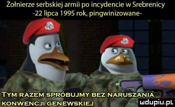 żołnierze serbskiej armii po incydencie w srebrenicy    iipca      rok pingwinizowane a tym r azem spróamniy be z naruszanią konwenes g enewskjeą j i. i ul ibl leu il