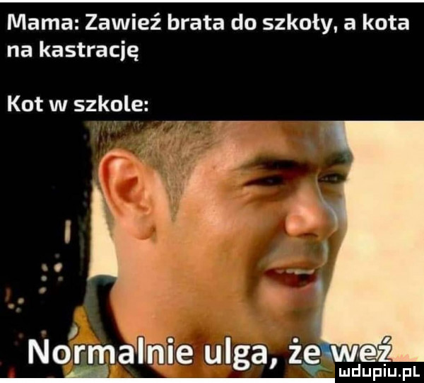 mama zawiąż brata do szkoły a kota na kastrację kot w szkole