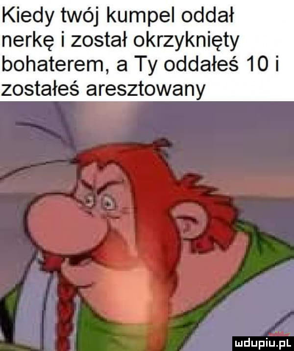 kiedy twój kumpel oddał nerkę i został okrzyknięty bohaterem a ty oddałeś    i zostałeś aresztowany