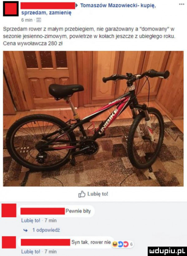 abakankami tomaszow mazowmckl mm. sprzedam zamlemę bp nieba mam nał m     wa wm nu gawazc ocr  n zole eslenncanr vomn powerr u. wacmeszc zez umegnegnrcku u i m w. s memes w w
