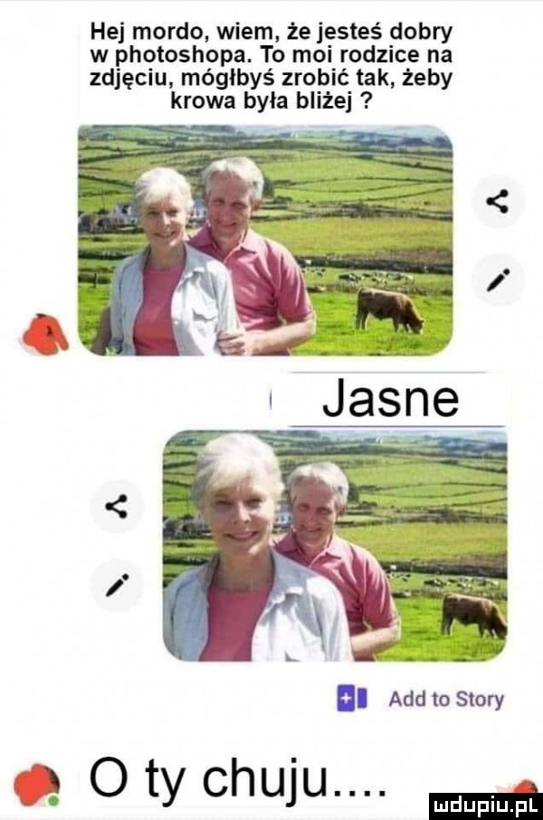 hej mordo wiem że jesteś dobry w photoshopa. to moi rodzice na zdjęciu mógłbyś zrobić tak żeby krowa była bliżej ii agd to story q   ty chuju. m