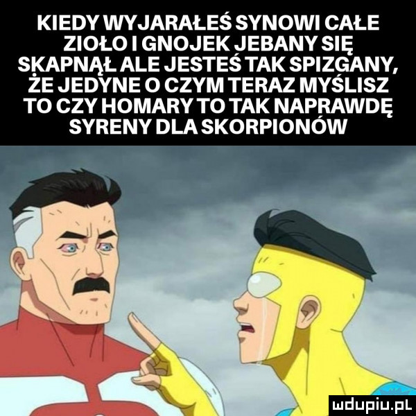 kiedy wyjarałeś synowi całe zioło i gnojek jebany się skapnął ale jesteś tak spizgany że jedyne o czym teraz myślisz to czy homary to tak naprawdę syreny dla skorpionów