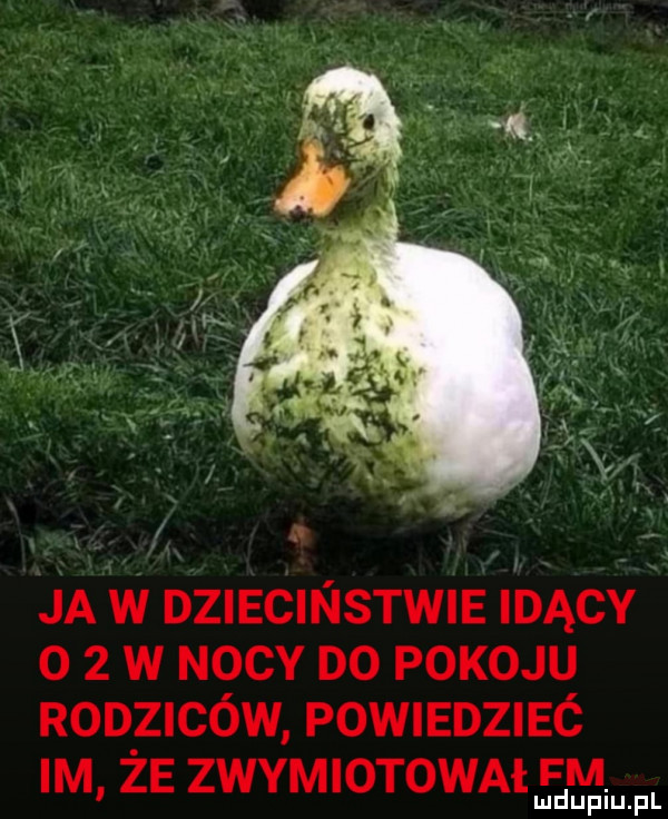 ja w dziecinstwie idący o   w nocy do pokoju roozwów powiedziec m że zvaiotowatm. u u pl