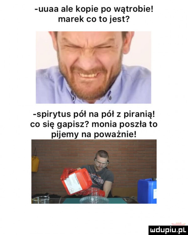 uuaa ale kopie po wątrobie marek co to jest spirytus pół na pół z piranią co się gapisz monia poszła to pijemy na poważnie ludu iu. l