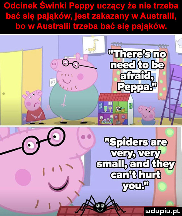 odcinek świnki pappy uczący że nie trzeba bać się pająków jest zakazany w australii bo w australii trzeba bać się pająków. mm    x magm afraid perka