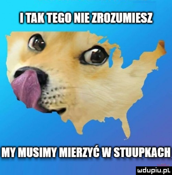 i tai tego hme llllllllﬂlesl my iiiisimy mieiiiyi e w stiiiii kalii