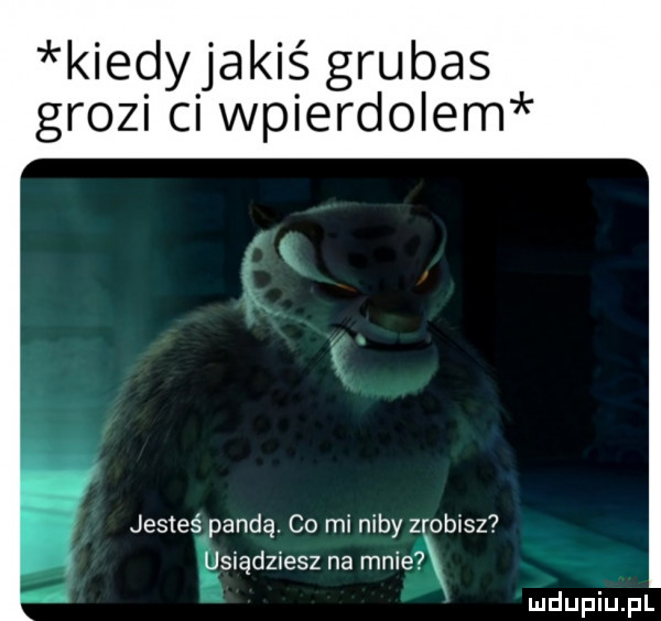kiedyjakiś grubas grozi ci wpierdolem jesteś pandę. co mi niby zr opisz usiadzsesz na mnie