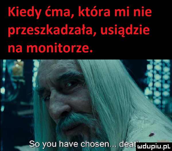 kiedy ćma która mi nie przeszkadzała usiądzie na monitorze. rwą i   y-u hace chojen d