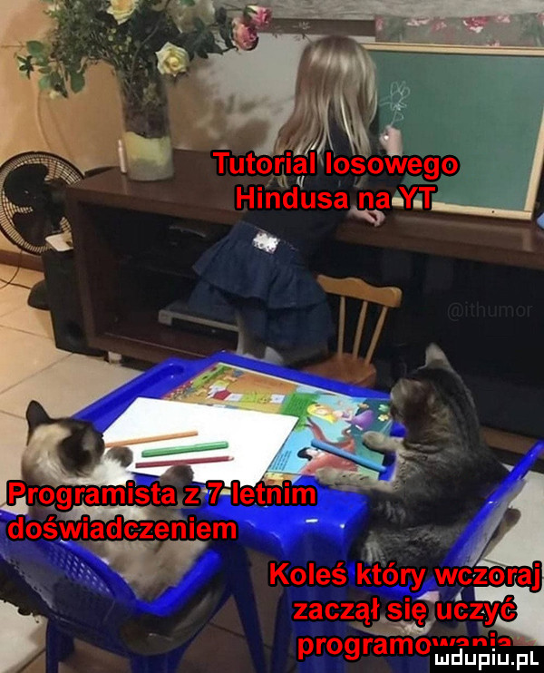 tutorial losowego hindusavrg yj pro i. doświa dczeńiem r a koles ktory wczoraj zaczął sleg uézyi ć. program