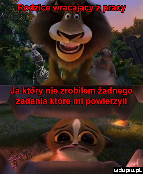 iiiizi ce wracajacy zp do ja który nie zrobiłem żadnego zadania które mi powierzyli mduplu pl