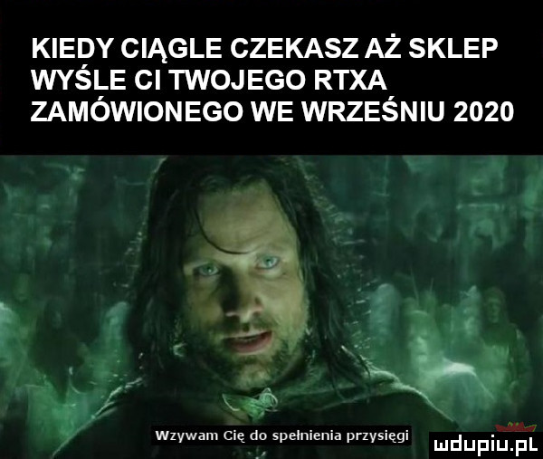 kiepy ciągle czekasz aż sklep wang ci twojego rexa zamowionego we wrzesniu