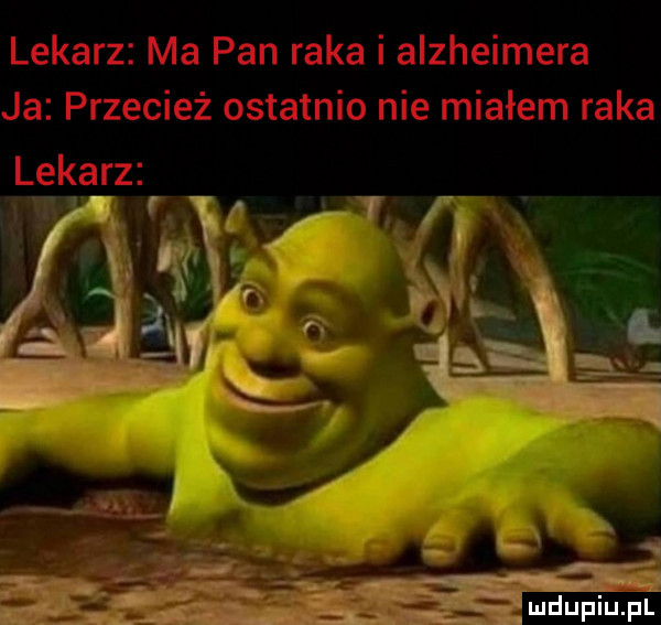 liitz leeﬂarz m ran wiem ra.   mdupiu il