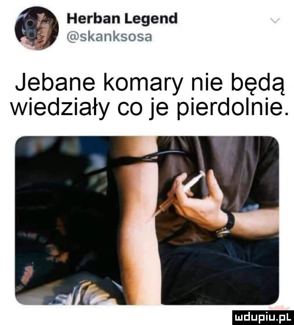herman legend. skanksosa jebane komary nie będą wiedziały co je pierdolnie. ludu iu. l