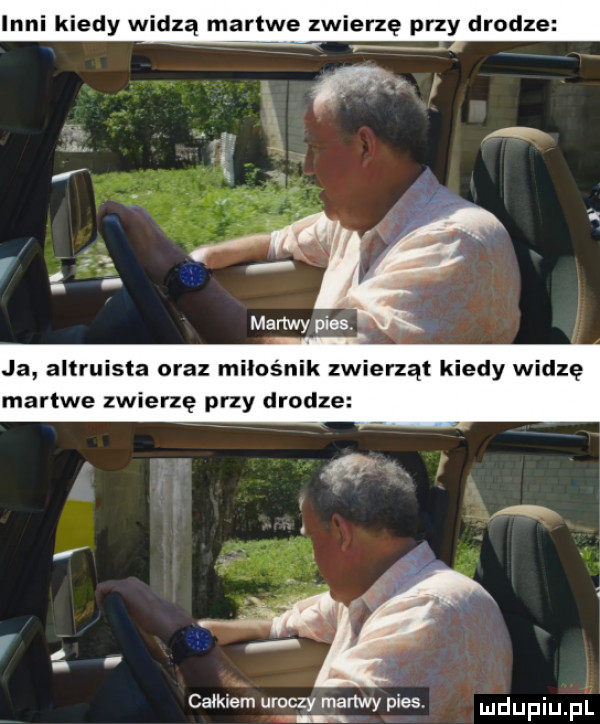 edy w zą ma we zw elzę przy drodze ja altruista oraz miłośnik zwierząt kiedy widzę martwe zwierzę przy drodze caiklem uroczy martw pies. mdupiup