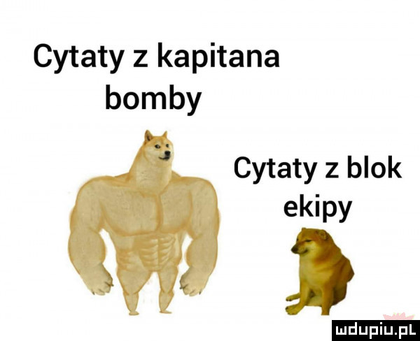 cytaty z kapitana bomby cytaty z blok ekipy ludu iu. l