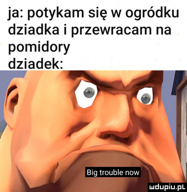 ja potykam się w ogródku dziadka i przewracam na pomidory dziadek bcg trauma now