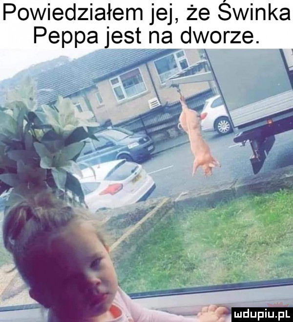 powiedziałem jej że świnka pappa jest na dworze. v