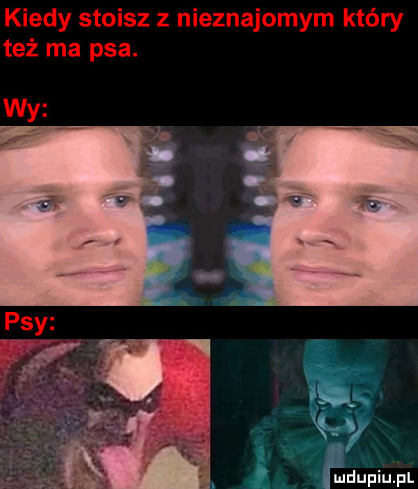 kiedy stoisz z nieznajomym kiery też ma psa