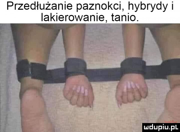 przedłużanie paznokci hybrydy i lakierowanie tanio